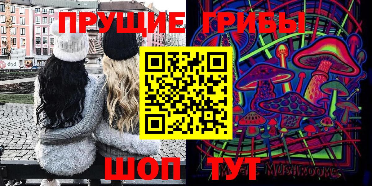 Галлюциногенные грибы Psilocybine cubensis Котовск